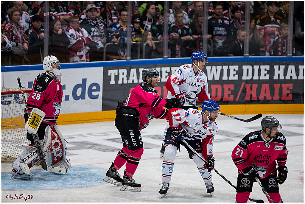 Koelner Haie - Adler Mannheim, 30.10.2016